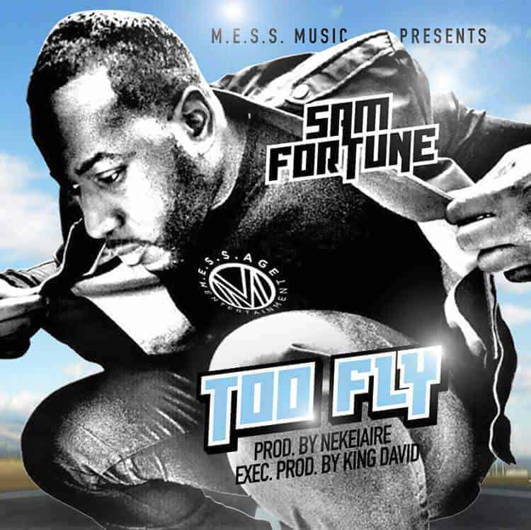 TOO-FLY-POSTER