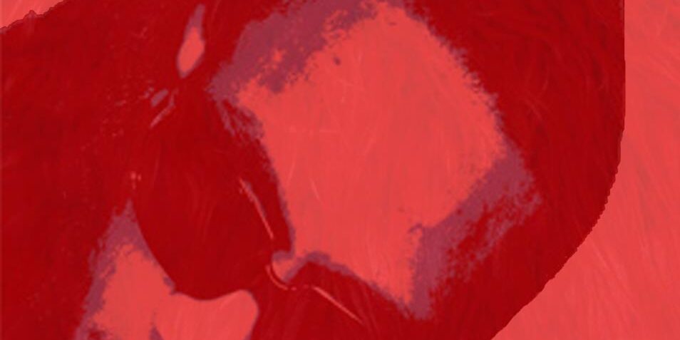 RED-FUR-COVER1